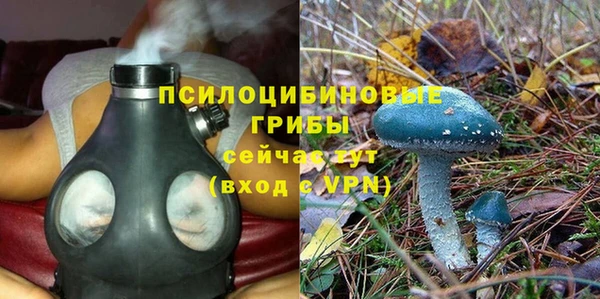 MESCALINE Лагань