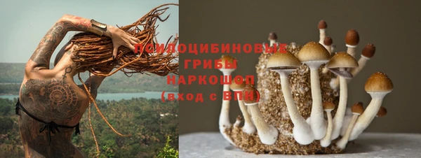MESCALINE Лагань