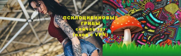 COCAINE Лабытнанги