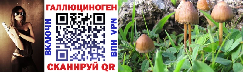 Галлюциногенные грибы GOLDEN TEACHER  Саратов 